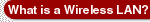 what is a wireless wlan?
